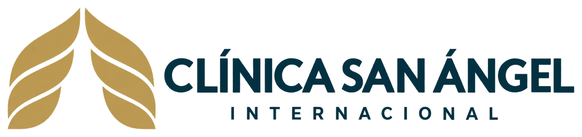 Clínica San Ángel Internacional